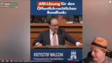 AfD-Positionen und fehlende S…