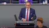 AfD-Positionen zu Islamismus,…
