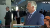 Politische Beobachtungen und…