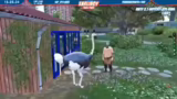 Grand Theft Auto V
