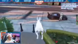 Der Hase als Kollege