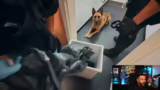Polizeikontrolle einer Dealer…