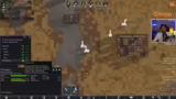 Koloniewert steigt, Thrumbo M…