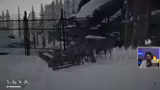The Long Dark