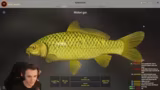 Russian Fishing 4