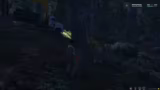 RP-Server Diskussion und Holz…