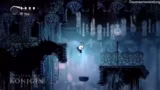 Hollow Knight