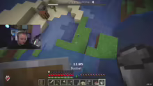 DER FRÜHE VOGEL MINECRAFT ZUSAMMEN MARI…