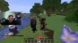 Minecraft Server Probleme und…