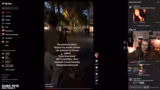 Spekulationen über Silksong-R…