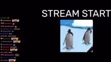 freaky ahh stream bisschen rust und for…