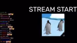 freaky ahh stream bisschen rust und for…