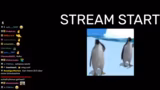 Streamstart und Ankündigung