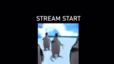 Pokémon Black/White