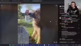 PC Reset und Stream-Ankündigu…
