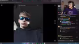 TikTok-Trends, Katzen-Content…