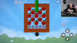 Apple Worm