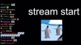 Stream-Start und Begrüßung