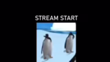 Pokémon Black/White