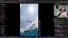 LIVEPOKÉMON SOULLINK MIT @rvnxmango FEU…