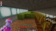Elements Tag 9! 20:00 Update! Wir berei…
