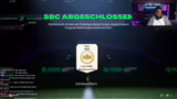 Alke-Picks, Futter und Pack-V…