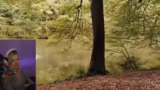 Reaktion auf 'Die Wilden Kerl…