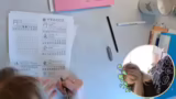 Verwirrung um japanische Voka…