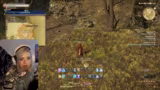 Gemeinsam durch Final Fantasy: Kooperation und Abenteuer im MMO