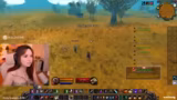 Questing in Ashenvale und Was…
