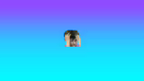 Abschluss des Streams und Rai…