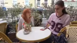 IRL