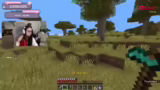 Minecraft Drops und Twitch Re…