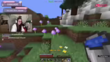 Spenden, Minecraft-Biom und C…