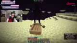 Charity-Fortschritt, Elytra-S…