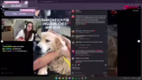 Just Chatting