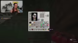 MINECRAFT DURCHSPIELEN AUF DEM WALKING…