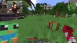 Subathon-Idee, Wither-Entsche…