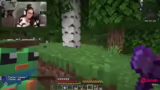 Minecraft Suche und Heupferd