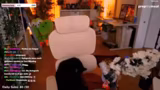 Just Catting