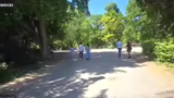 Vorbereitungen für den Parkbe…