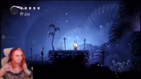 Hollow Knight