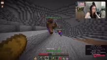 MINECRAFT ELEMENTS CHAMELEON HIDE AND S…