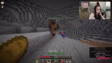 MINECRAFT ELEMENTS CHAMELEON HIDE AND S…