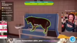 Animal Shelter 2