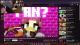 Enderman-Herausforderung und…