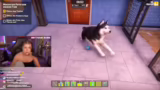 Animal Shelter 2