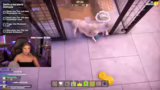 Hygiene und Spielzeit mit Paco