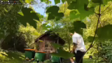 Planänderung und Traubenernte…