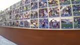 Besichtigung der Seahawks Fac…